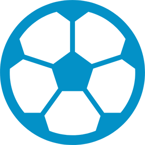 ジュニアサッカーチーム応援団